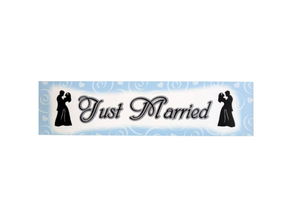 Just Married WEDDING Banner