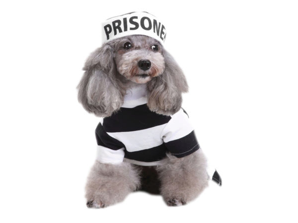 Prisoner Pet Costume