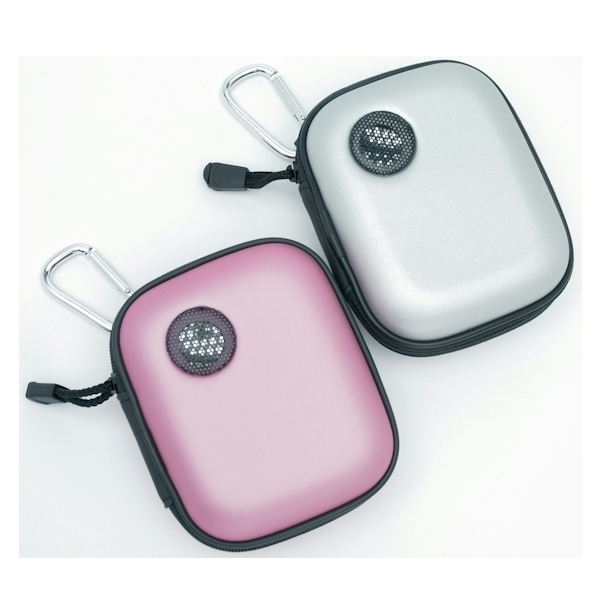 MP3 IPOD Carrying Case