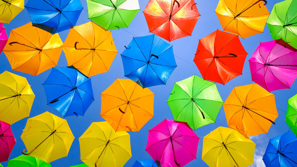 A Simple Guide To 4 Types Of Umbrellas 