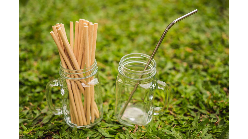 Bamboo Vs. Metal Straw: Which To Choose?