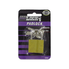 Iron Padlock with Keys