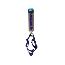 Cheetah Print Dog Leash & Adjustable Harness