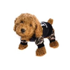 FBI Pet Costume