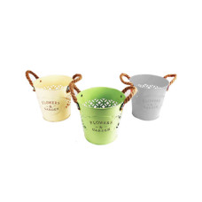 Flower Pot