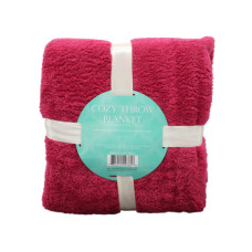 Plush Coral Throw Blanket in Assorted Colors