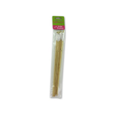 Artist Brushes Set