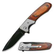 Assisted Action Open Folder Knife